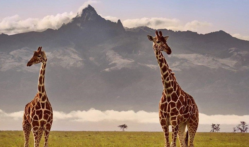 Du lịch Kenya giá rẻ